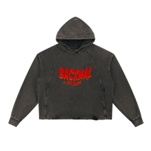 Cargar imagen en el visor de la galería, ¨ Basic ¨ Vintage Hoodie