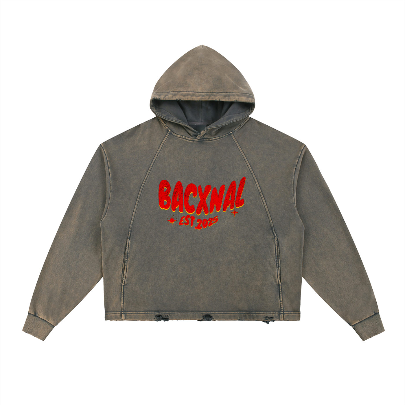 ¨Basic Men ¨Vintage Hoodie